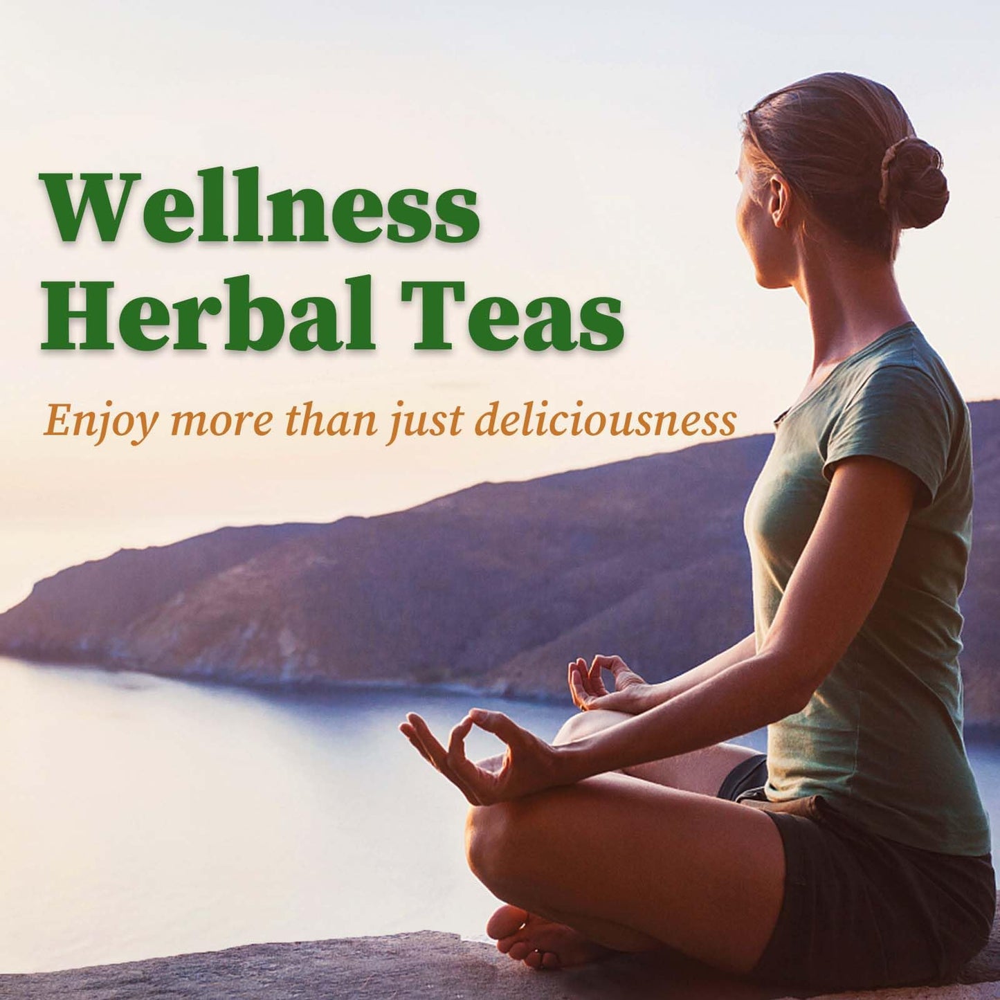 Tea Varieties, 50 Tea Bags. Many Flavors!