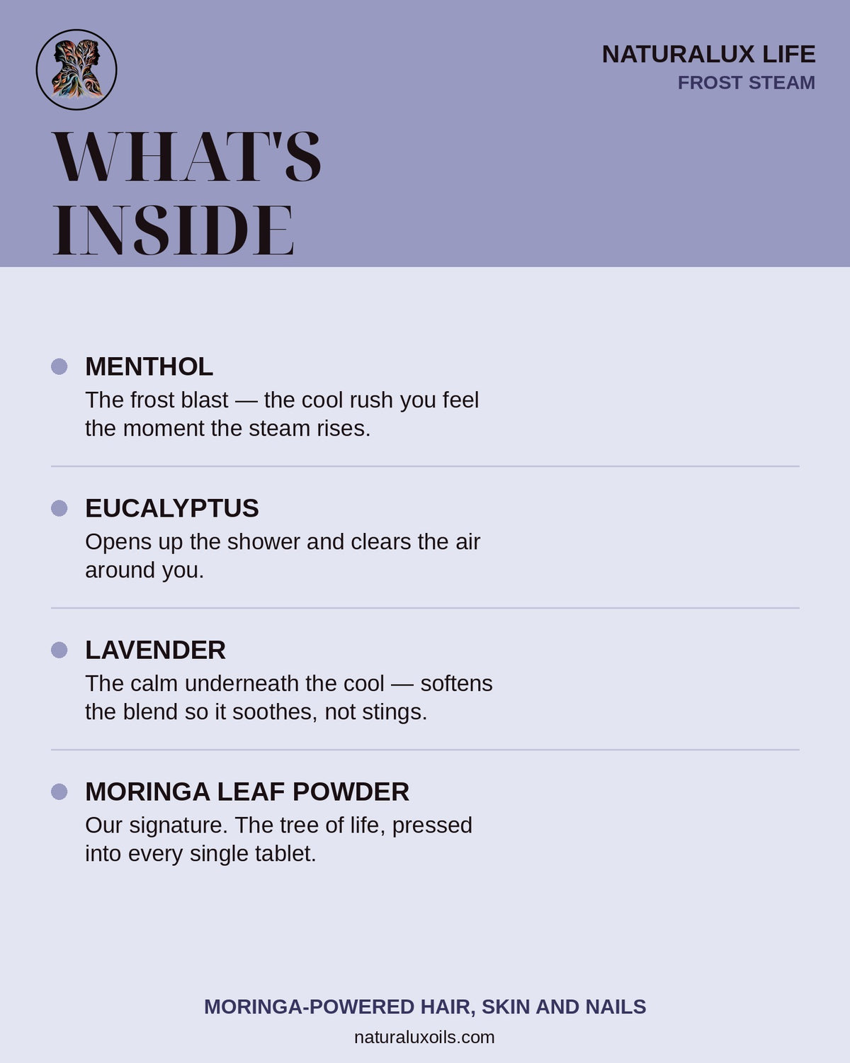 Whats inside Frost Steam