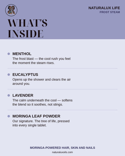 Whats inside Frost Steam